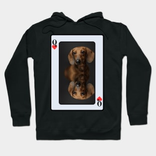 Dachshund Hoodie